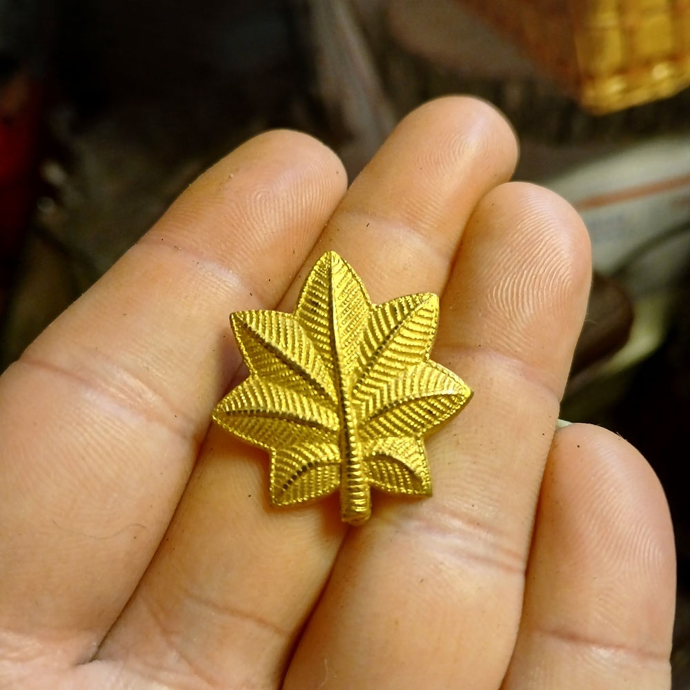 Claire's Gold Leaf Brooch